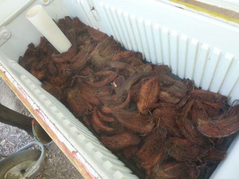 camada_de_fibras_de_coco