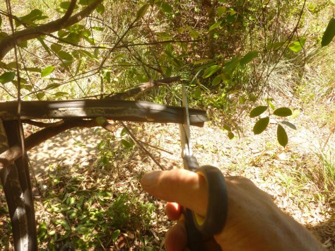 cutting the fridge rubber