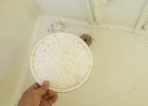 filtering the worm casting