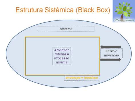 Abordagem Sistemica (2)