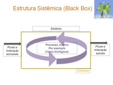 Abordagem Sistemica (3)