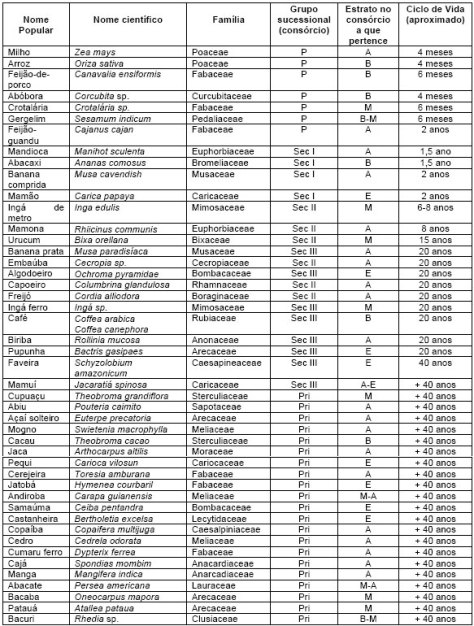 Espécies-classificadas-em-grupos-sucessionais---E.Gotsch