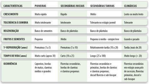 especificidades-consorcios