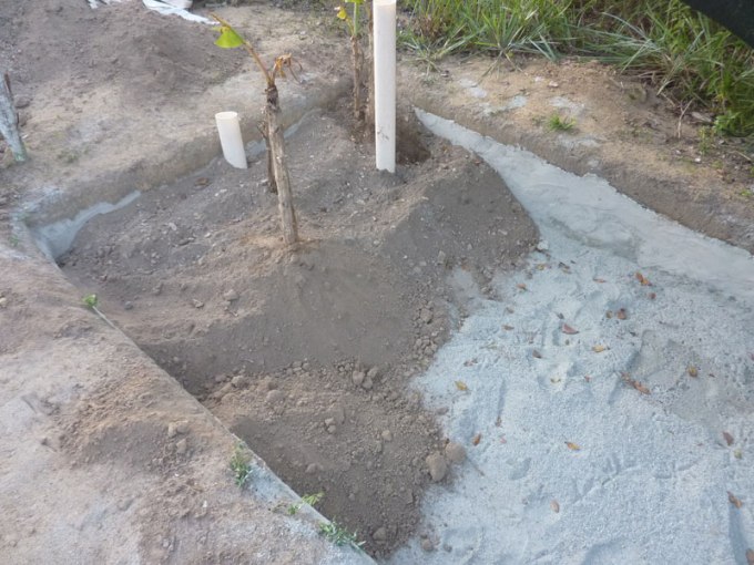 layer-of-dirt