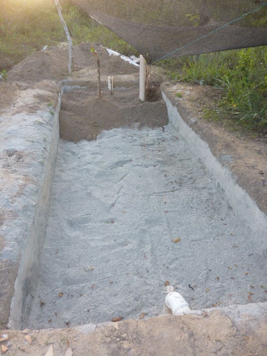 layer-of-rock-dust-and-of-dirt