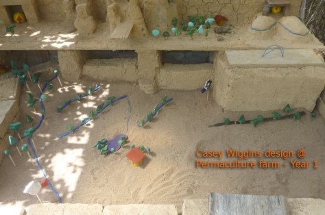 Site-Design-Casey--transition-year-1