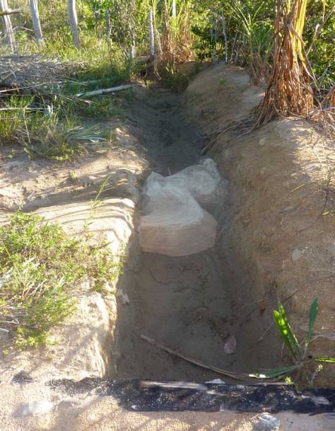 swale-harvesting-sand-and-silt