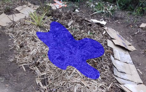 construcao-de-um-pequeno-lago-projeto