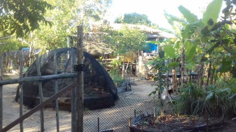 formacao-permacultura