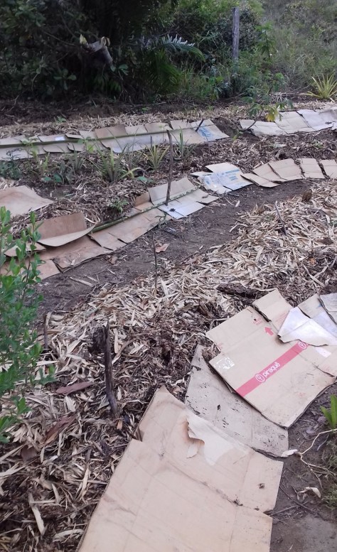 valas-e-montes-restruturadas