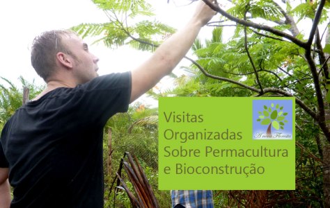 visitas-organizadas