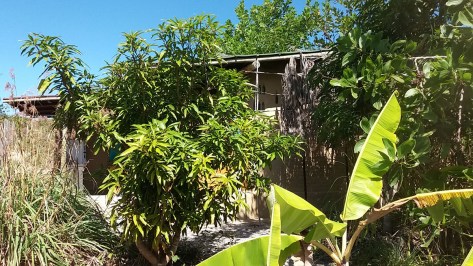 Fukuoka integracao na vegetacao