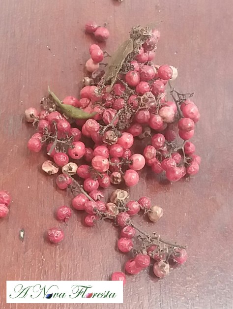 aroeira Pimenta rosa